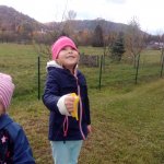 phoca_thumb_m_drak 11 Fotogalerie